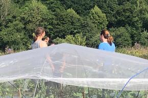 Thumbnail photo 2025 06 25 17 36 43