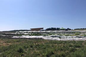 Thumbnail photo 2025 06 25 17 36 46