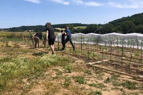 Thumbnail photo 2025 06 25 17 36 52