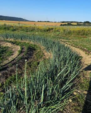 19ea31be a5bf 4576 8840 442445eca44c.JPG