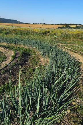 19ea31be a5bf 4576 8840 442445eca44c.JPG