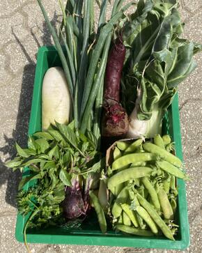 538198814 753049404290504 1554242584154375607 n.jpg