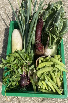 538198814 753049404290504 1554242584154375607 n.jpg