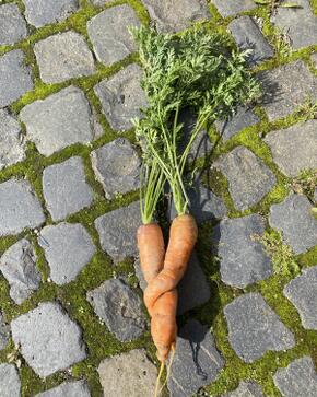 571567546 811662951762482 4891037668696714939 n.jpg