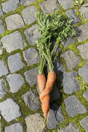 571567546 811662951762482 4891037668696714939 n.jpg