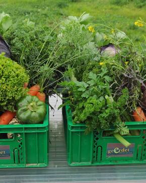 576847262 817617541167023 6454232264229014018 n.jpg