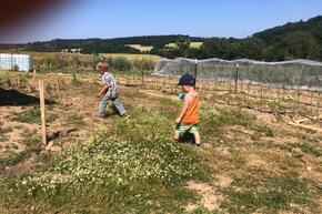 Vorschaubild photo 2025 06 25 17 36 42