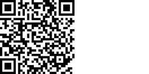 global nomads qr duplicate